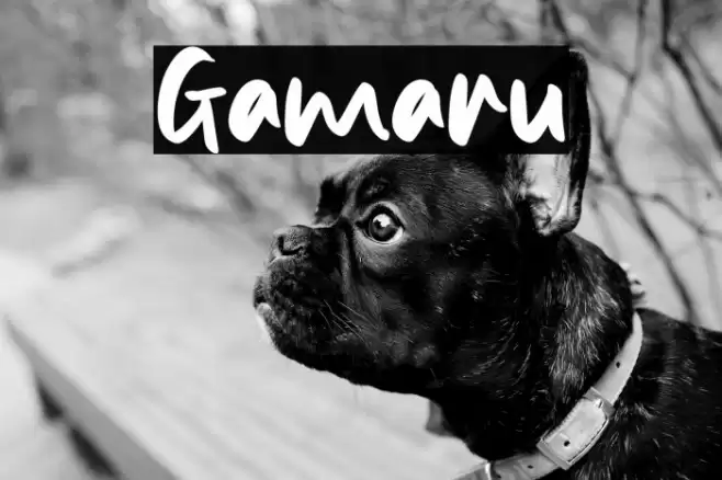 Gamaru Font examples