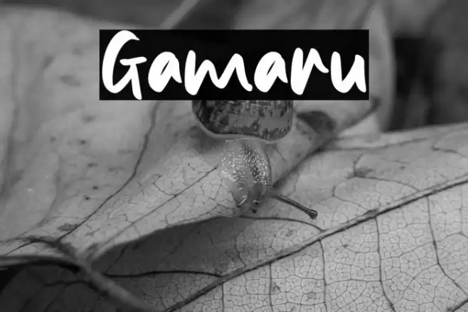 Gamaru Font examples