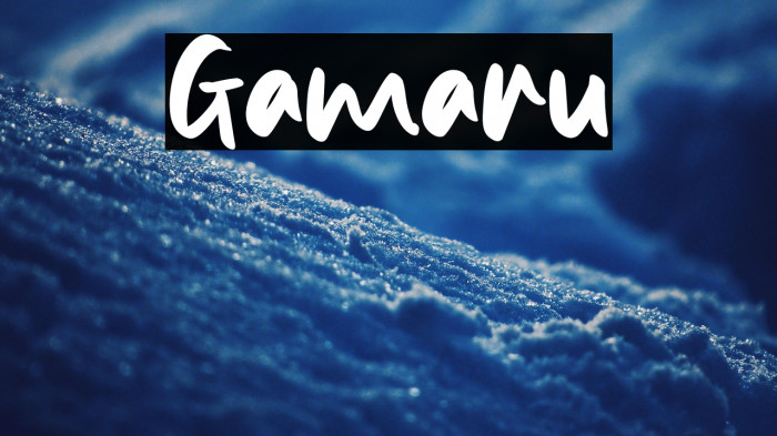 Gamaru Example 3
