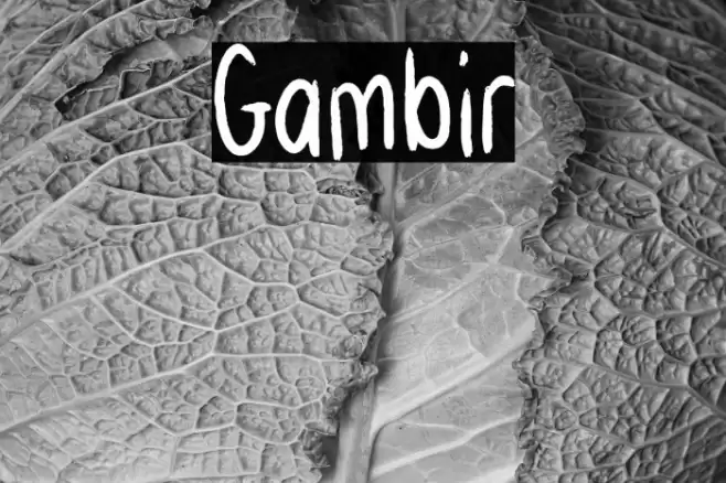 Gambir Font examples