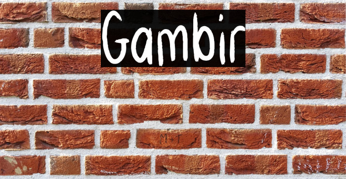 Gambir Example 3