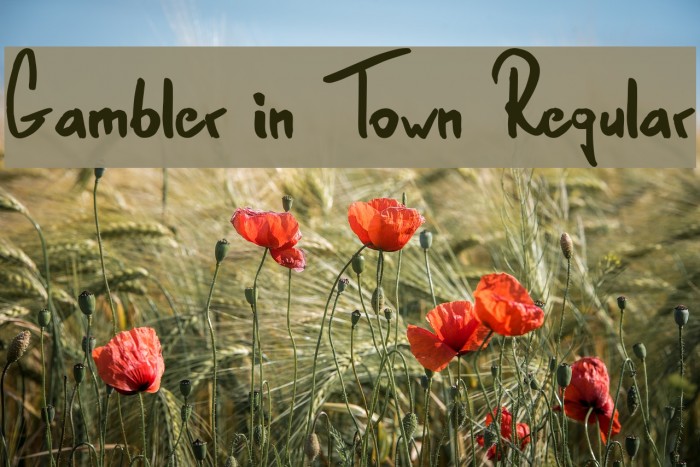 Gambler in Town Regular Example 1