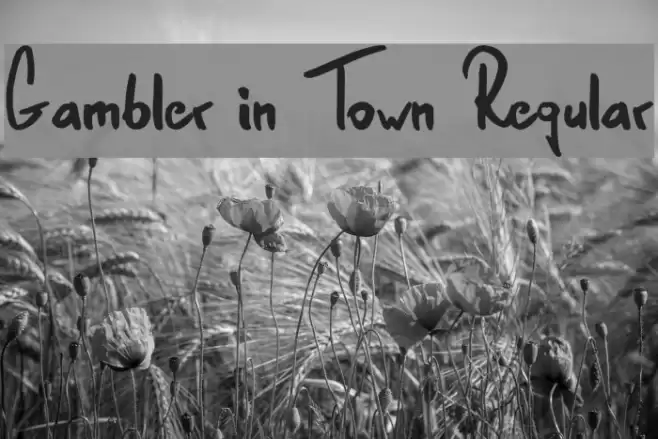 Gambler in Town Regular Font examples