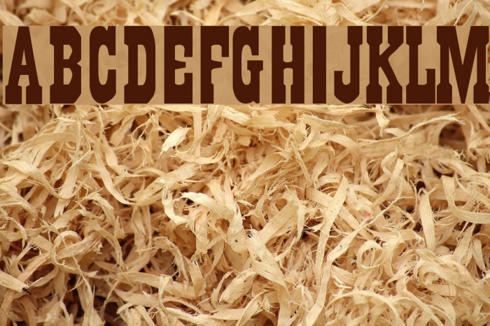 Gambler Font examples