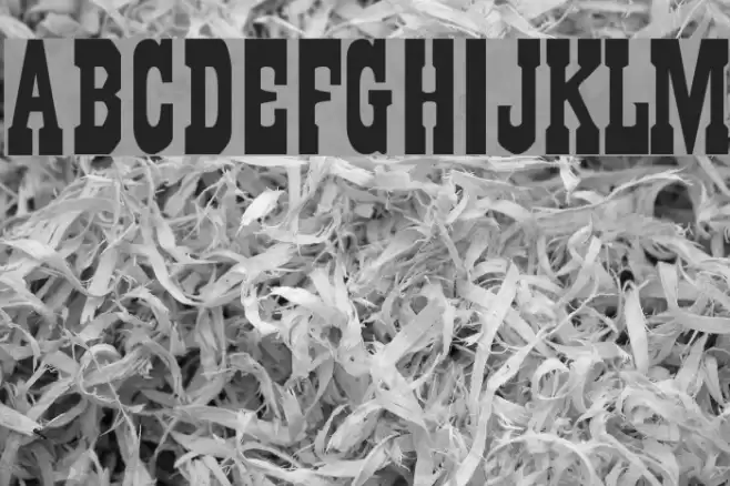 Gambler Font examples