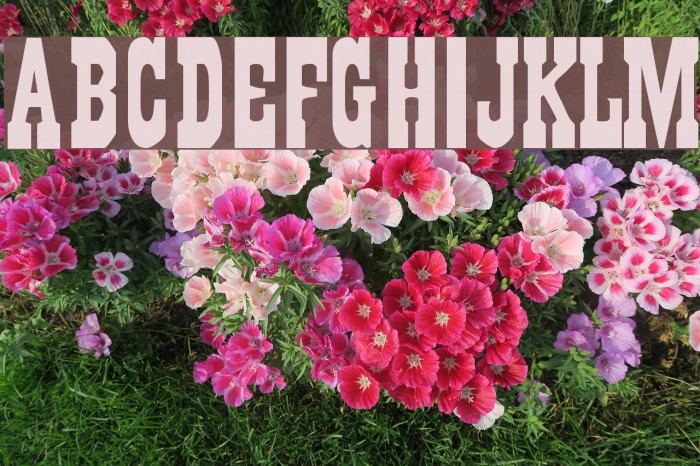 Gambler Font examples