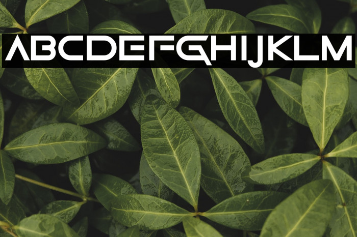 Game Of Squids Example 2