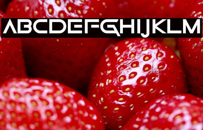 Game Of Squids Example 3