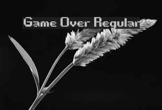 Game Over Regular Caratteri examples