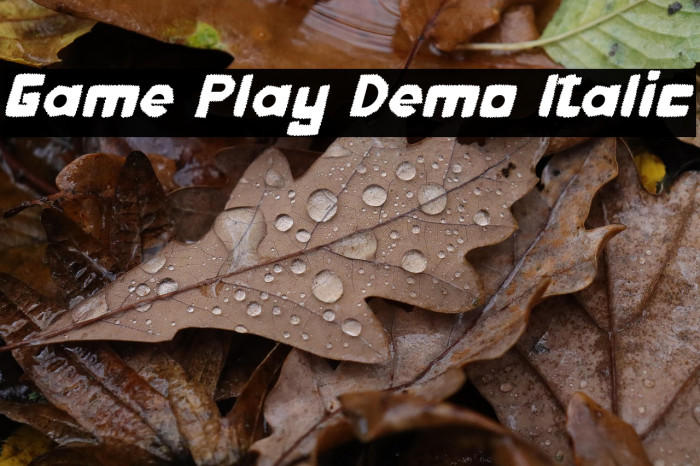 Game Play Demo Italic Example 2