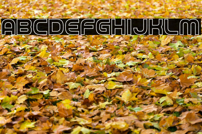 Game Played Outline Example 2