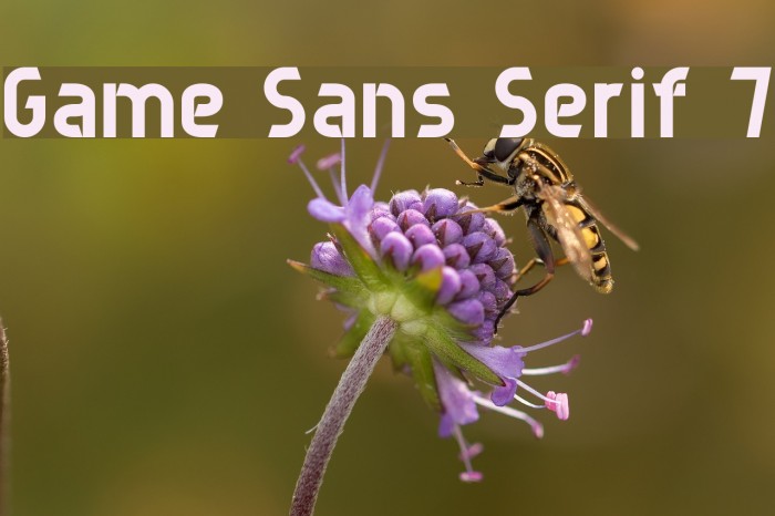 Game Sans Serif 7 Font examples