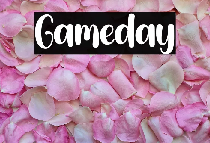 Gameday Example 1