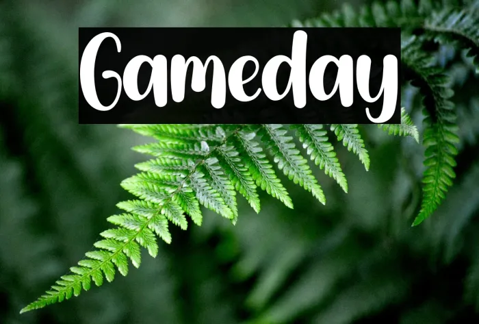 Gameday Example 2