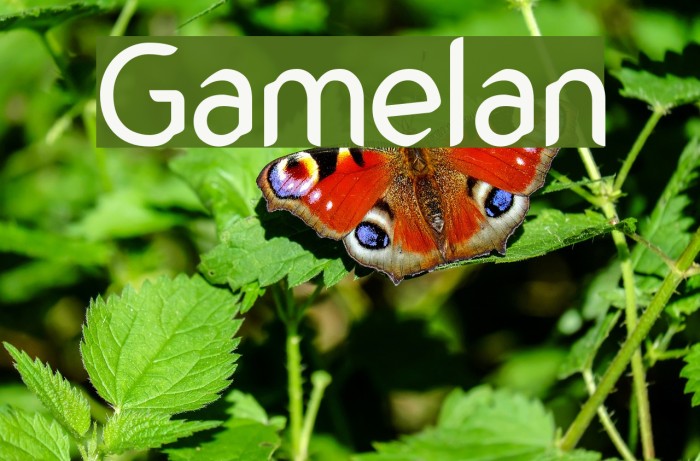 Gamelan Font examples