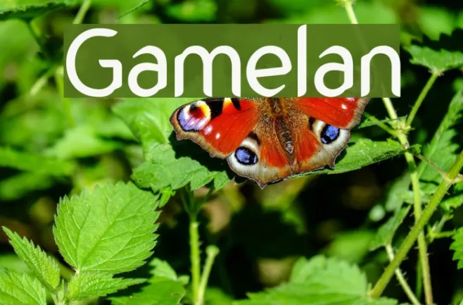 Gamelan Example 3