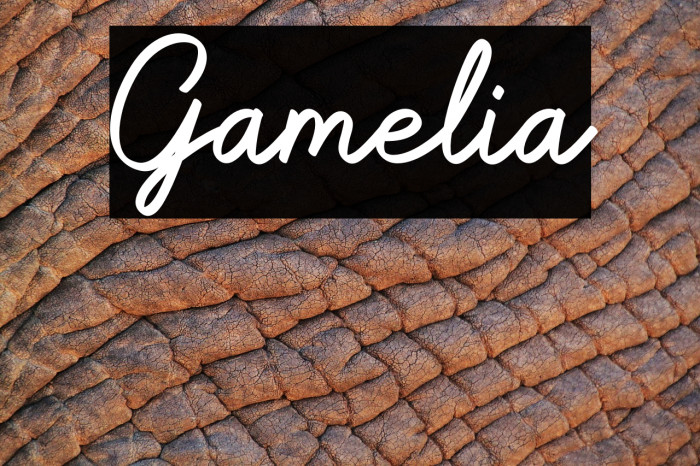 Gamelia Font examples