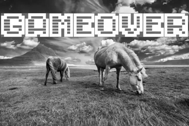 Gameover Polices examples