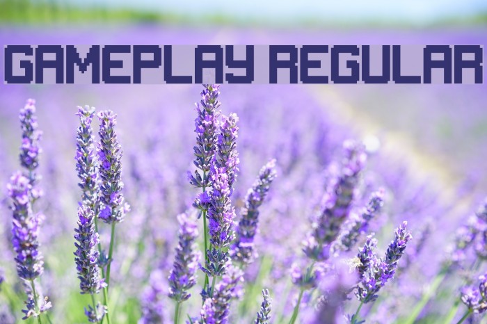 Gameplay Regular Font examples