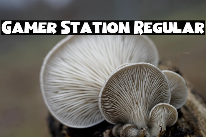 Gamer Station Regular Example 3