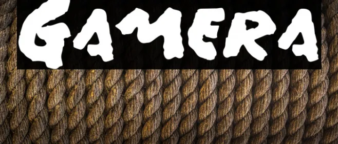 Gamera Example 1