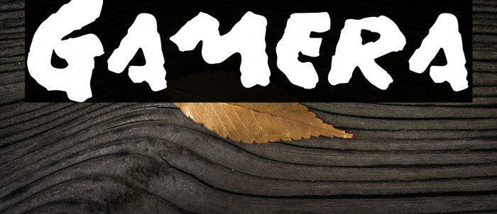 Gamera Font examples
