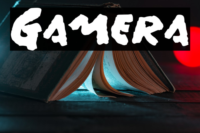 Gamera Font examples