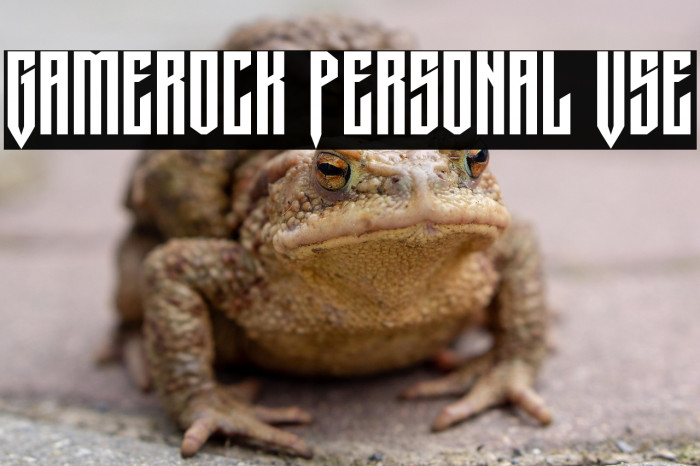 Gamerock Personal Use Example 1