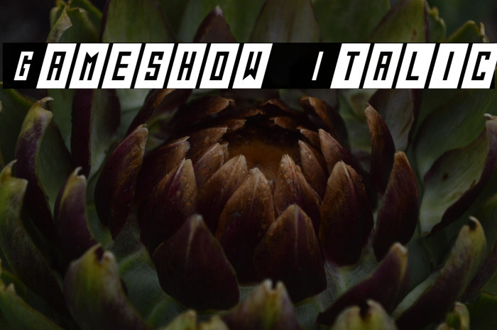 Gameshow Italic Example 3