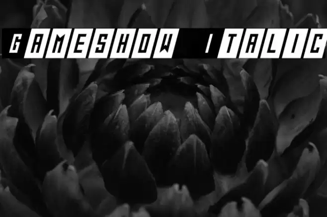 Gameshow Italic Font examples