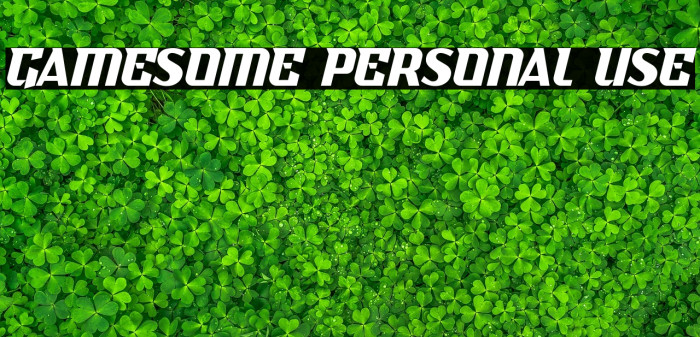 Gamesome Personal Use Example 1