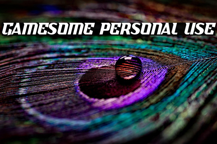 Gamesome Personal Use Example 3