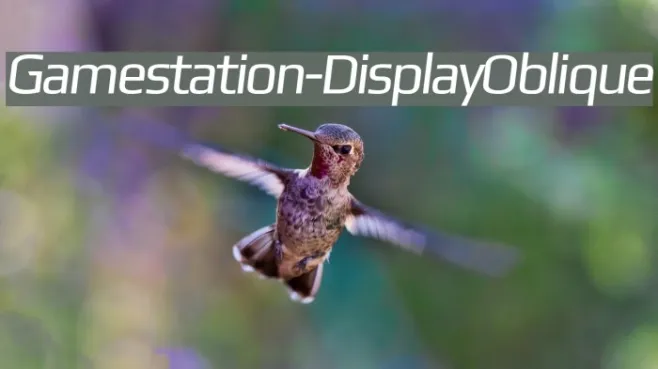 Gamestation-DisplayOblique Example 3