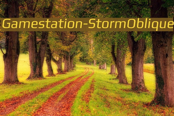 Gamestation-StormOblique Font examples