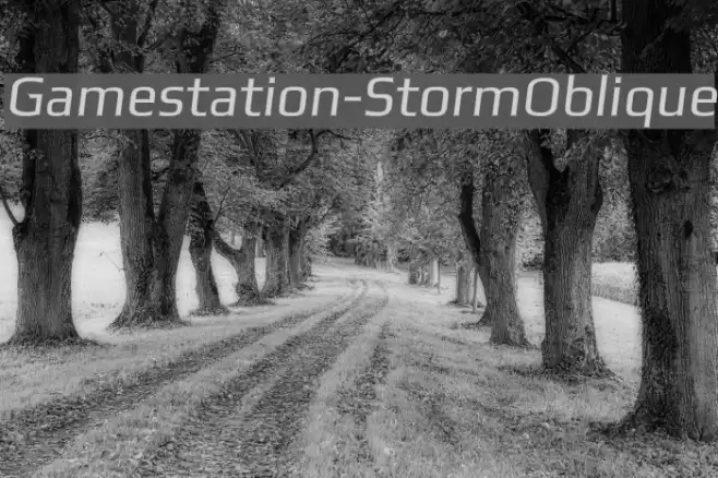Gamestation-StormOblique Font examples