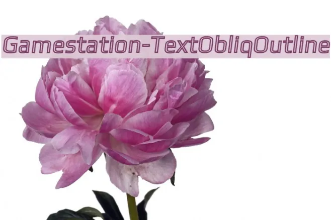Gamestation-TextObliqOutline Example 2