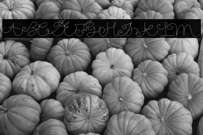 Gamila Demo Font examples