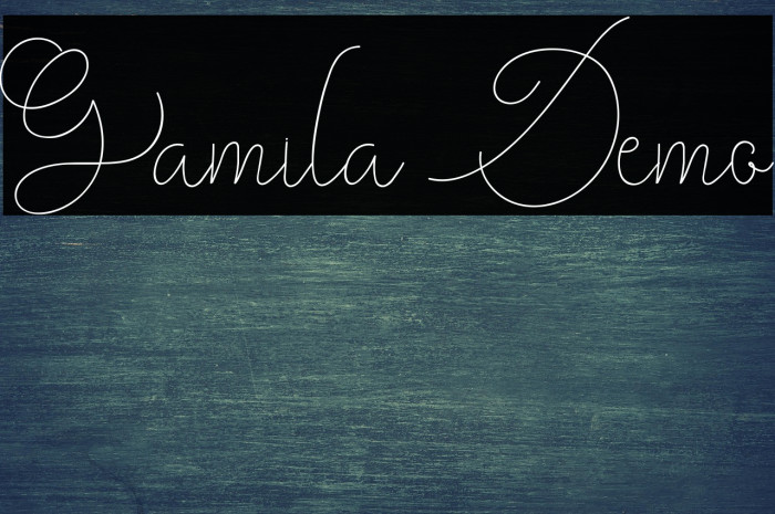 Gamila Demo Example 2