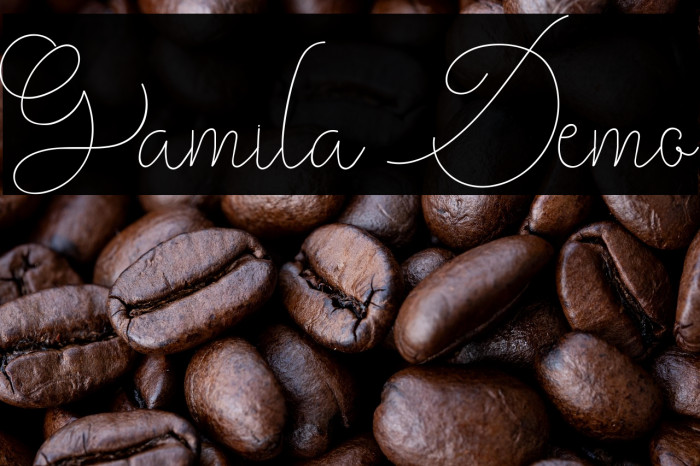 Gamila Demo Example 3