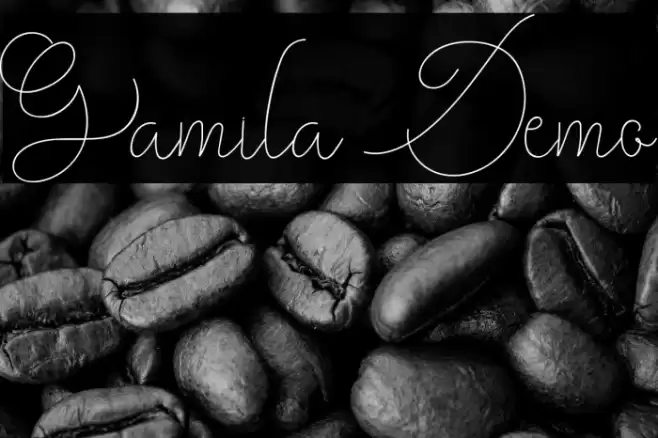 Gamila Demo Font examples