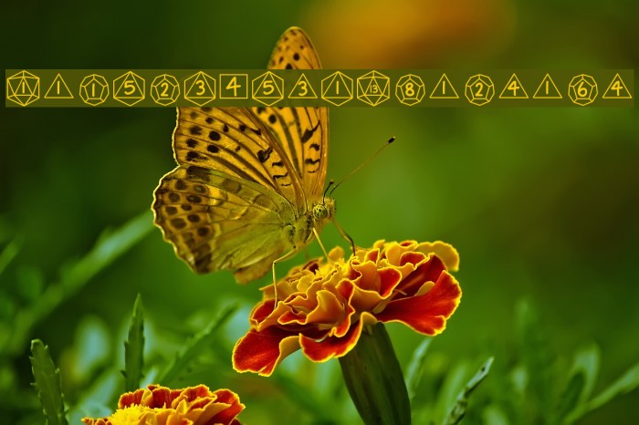 GamingDiceStandard Example 2