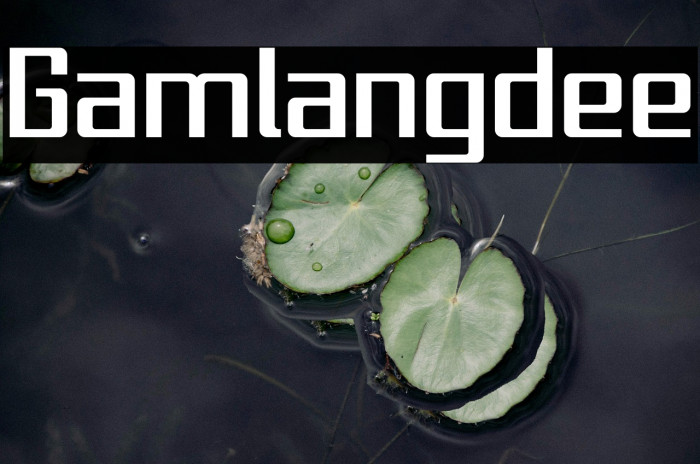 Gamlangdee Example 1