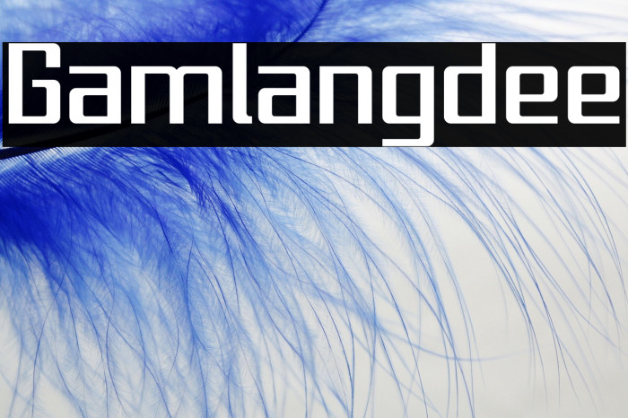 Gamlangdee Example 3