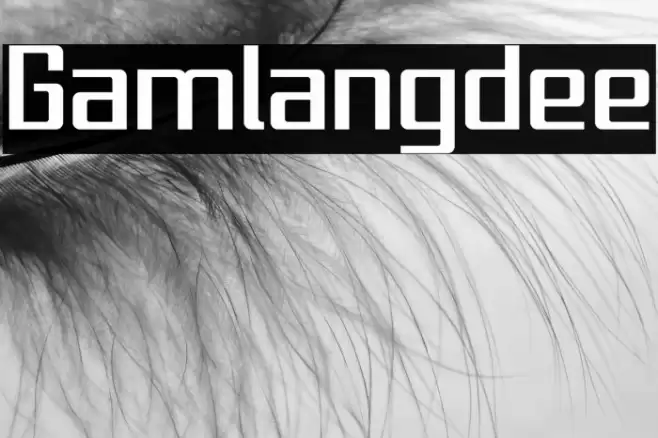 Gamlangdee Font examples