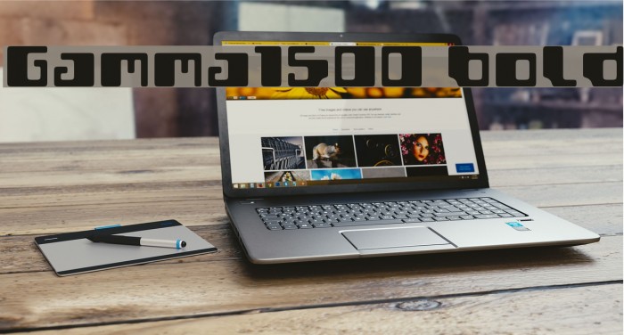 Gamma1500 Bold Font examples