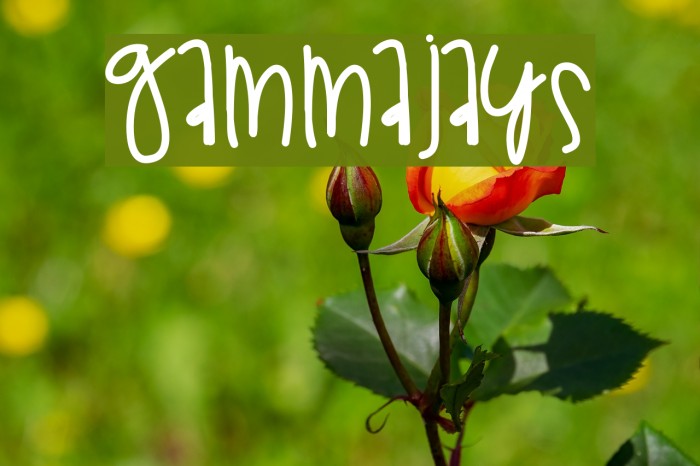 GammaJays Font examples