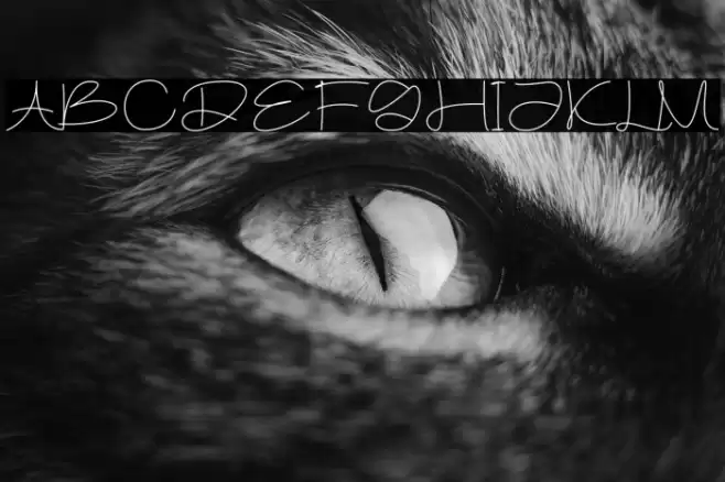 Gamore خط examples