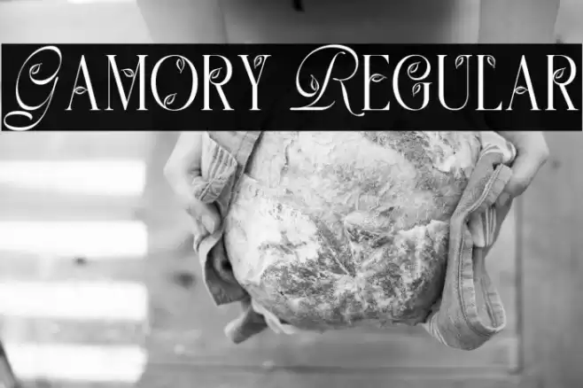 Gamory Regular Schriftart examples