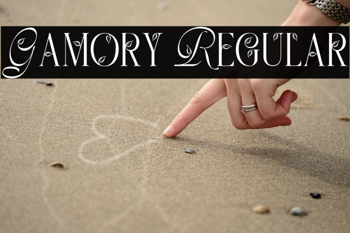 Gamory Regular Example 3