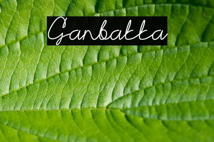 Ganbatta Example 1